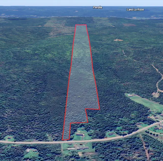 75 Acre, Building + Woodlot63235989641475121