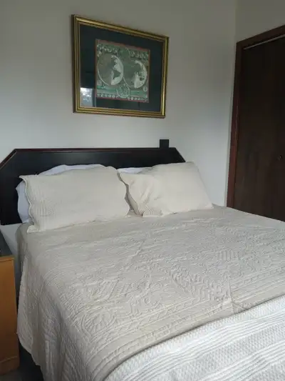 Newly painted, fully furnished 2 bedroom apartment. Five minute walk to Lakehead University. All uti...