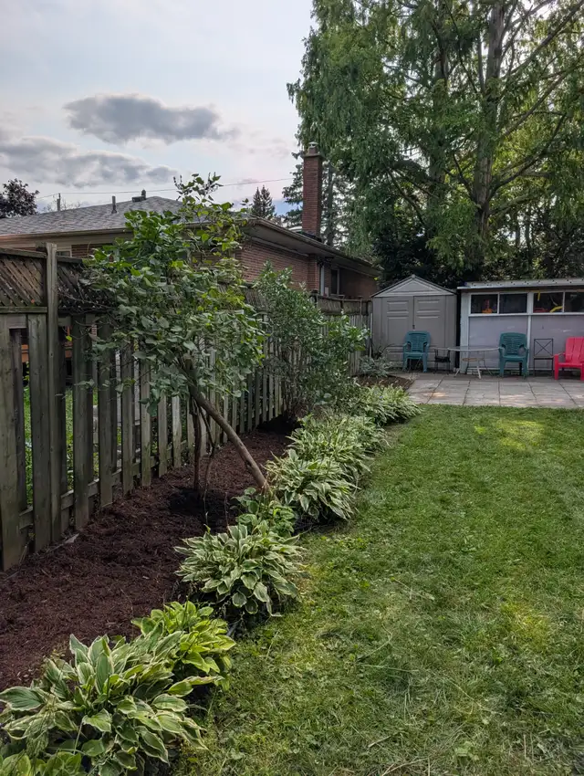 Gardening Services537541463622952964