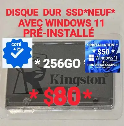 ⭐DISQUE DUR DE 256GO *SSD NEUF + WINDOWS 11 PRÉ-INSTALLÉ⭐, View more