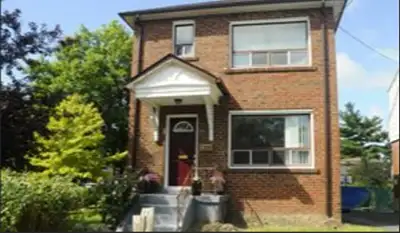 Basement Bachelor Apartment for Rent