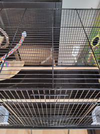 Cage a oiseaux a vendre avec accesoires
