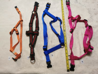 Dog Harnesses,  $5 each