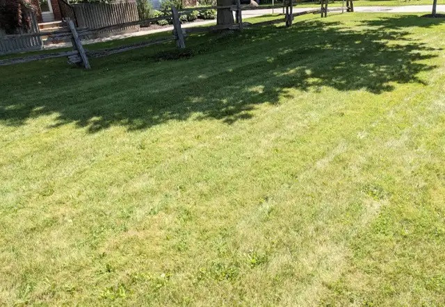 Spring Clean up and Reliable Weekly or Bi-weekly Lawn Cutting in Lawn, Tree Maintenance & Eavestrough in Kitchener / Waterloo - Image 2