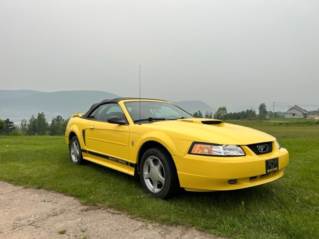 2002 Ford mustang décapotable dans Autos et camions  à Gaspésie