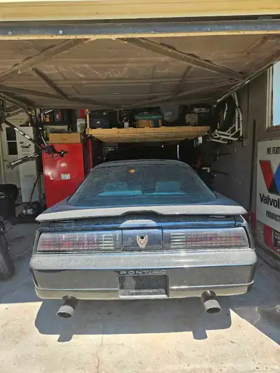 85 trans am carb was rebuilt but needs timing to be re done. This car is my project car and will be...