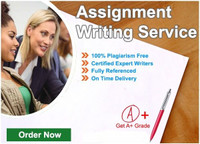 Essay/Assignment/Dissertation/Proposal/Thesis Writer/Quizzes