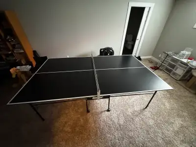 Ping Pong/Table Tennis , View more