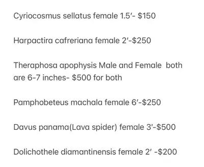 Selling some of my tarantulas. Psalmopoeus irminia female 4’-$150 Cyriocosmus sellatus female 1.5’-...