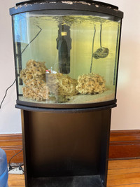 Aquarium et équipement