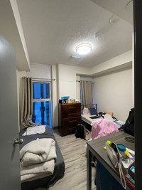 Charming 2 Bed, 1 Bath Apartment - Prime Location!