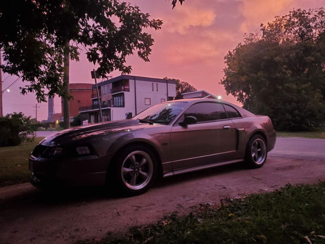 2002 Mustang GT 64000 KM Vortec V3 in Cars & Trucks in Winnipeg - Image 3