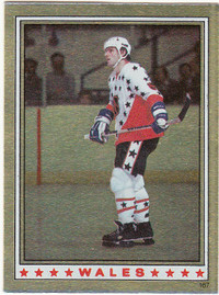 1982-83 OPC STICKER # 167 PETER STASTNY NHL ALL STAR