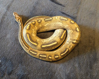 Freeway ball python 