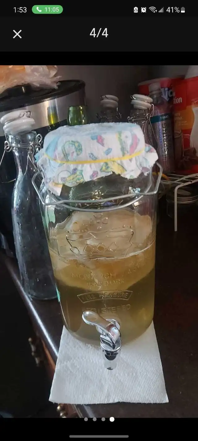 Milk kefir * Probiotic ! in Animal & Pet Services in Edmonton - Image 10