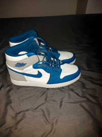 Nike Jordan Shoes Size 12