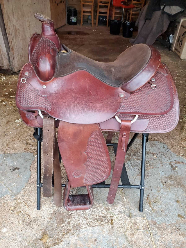 Circle Y Roper All Around Western Saddle in Equestrian & Livestock Accessories in Truro - Image 2