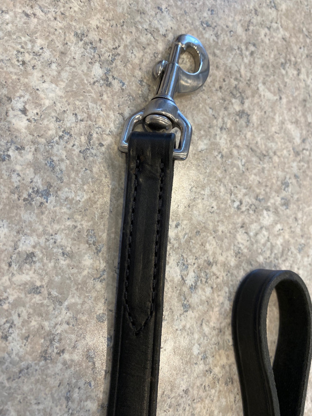 Dog Leash & Brush  in Accessories in Kawartha Lakes - Image 2