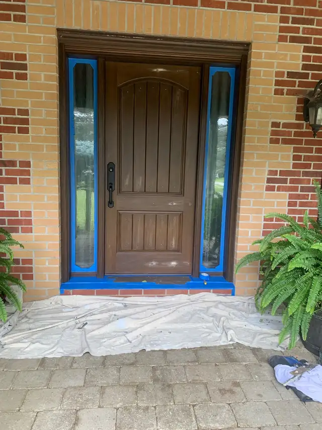 pro painter65561336817793123