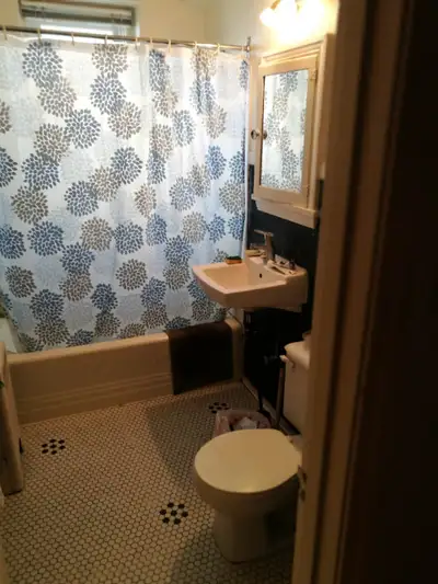 Downtown one bedroom apartment for rent at the end of September