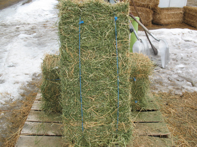 Hay for Sale in Other in Winnipeg