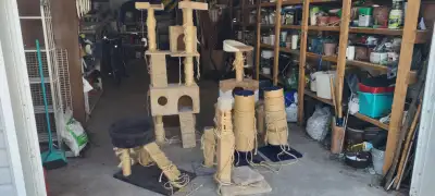 Used cat trees, beds and posts in need of repair. Free. Must take entire lot.