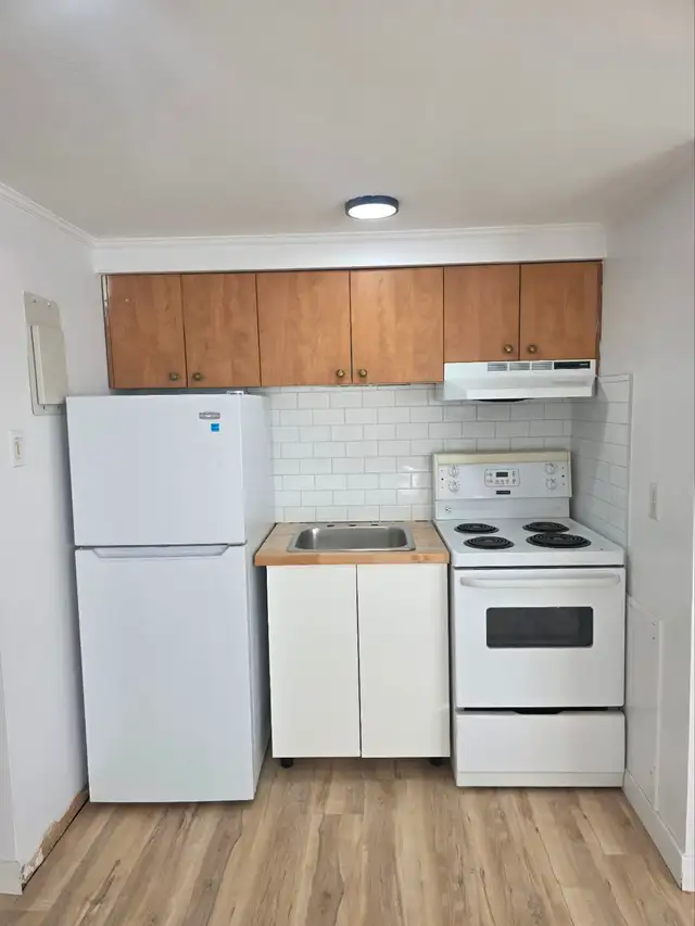 ENTIÈREMENT RÉNOVÉ Studio 2 1/2 à St-Bruno-de-Montarville