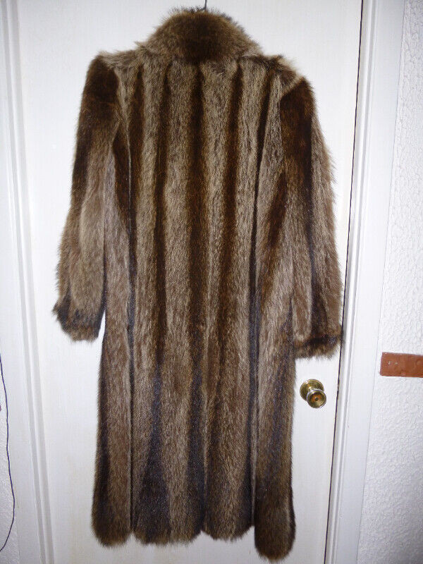 manteau de chat sauvage dans Femmes - Hauts et vêtements d'extérieur  à Saint-Hyacinthe - Image 2
