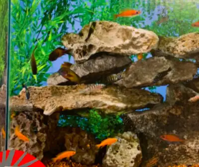 Bio-Wheel aquarium kit features a new updated hood and LED lighting Features 3 position switch on, b...