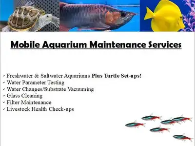 Aquarium Service Calls, View more