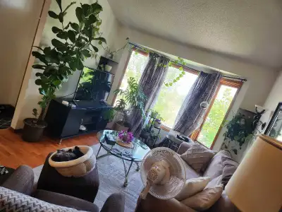 I am looking to rent out one of my bedrooms in my 3 bedroom place in Macewan NW for August 1st. I ha...