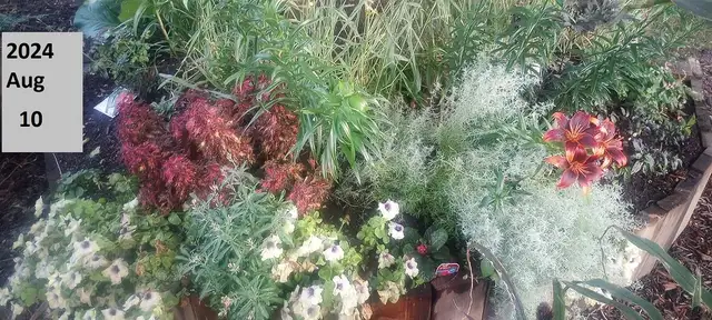 Top quality yardwork at a great value, based central NE