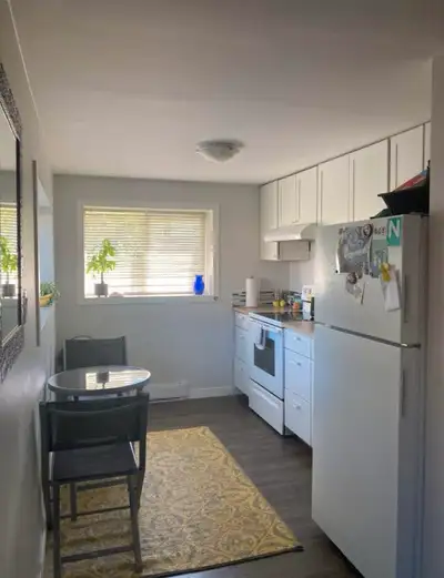 Spacious furnished suite- all included - pet friendly