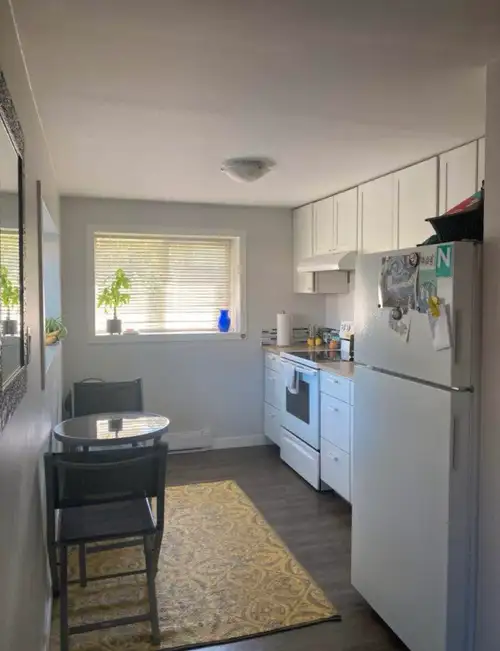 Beautiful Furnished Suite for Rent in Prime Saanich Location. EVERYTHING INCLUDED + furniture + Pet...