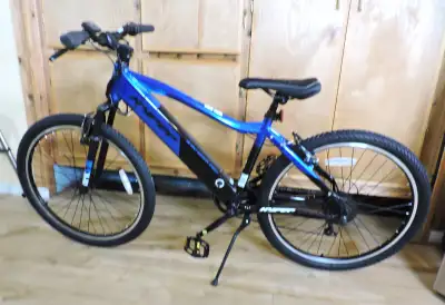 E-Bike.  Brand new with indoor training bike stand., View more