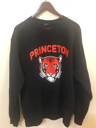CHAMPION PRINCETON UNIVERSITY TIGERS CREWNECK SWEATSHIRT, View more