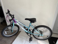 Movelo Algonquin 20" Girls’ Steel Mountain Bike