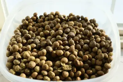 Benefits of Rabbit Manure: Rabbit manure is a cold fertilizer, meaning you don't have to compost it...