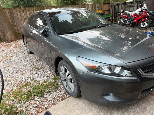2008 Honda Accord EX-L leather interior in Cars & Trucks in Barrie - Image 2