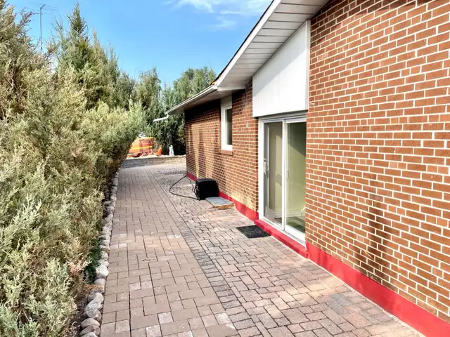 1 BR Basement Apartment  in Etobicoke for Rent