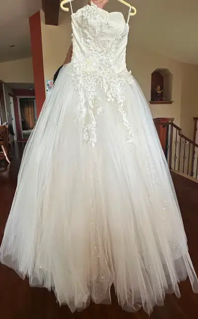 Princess Ball Gown Wedding Dress – Veils & Petticoat Included, View more