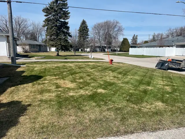 Lawn Mowing Starting at 100$ a month63005663189633121