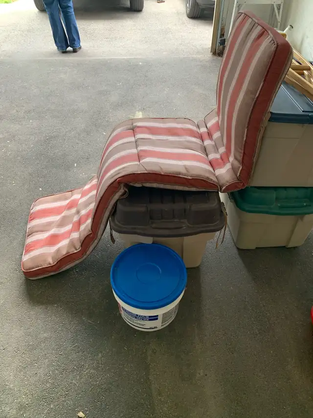 Two lounge cushions