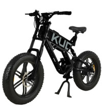 Kugoo Electric Bike T01