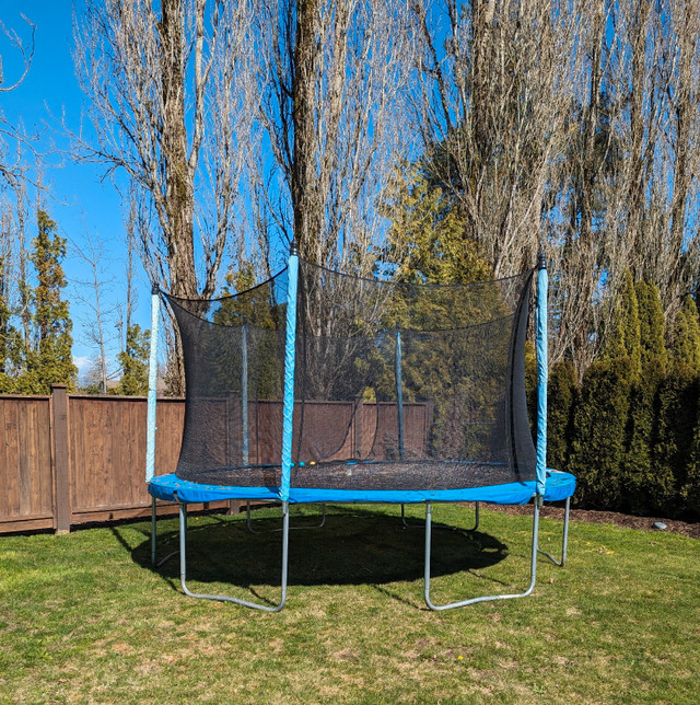Trampoline with net for sale  in Other in Delta/Surrey/Langley