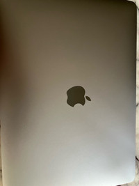 13" MacBook Air M1 2020 (1TB SSD / 16GB RAM)