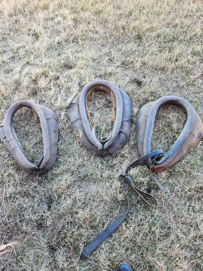 Vintage/Antique horse collars, View more