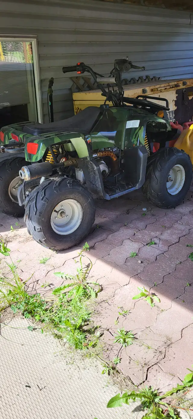 Kids Quad (Tao Tao) in ATVs in Strathcona County - Image 3