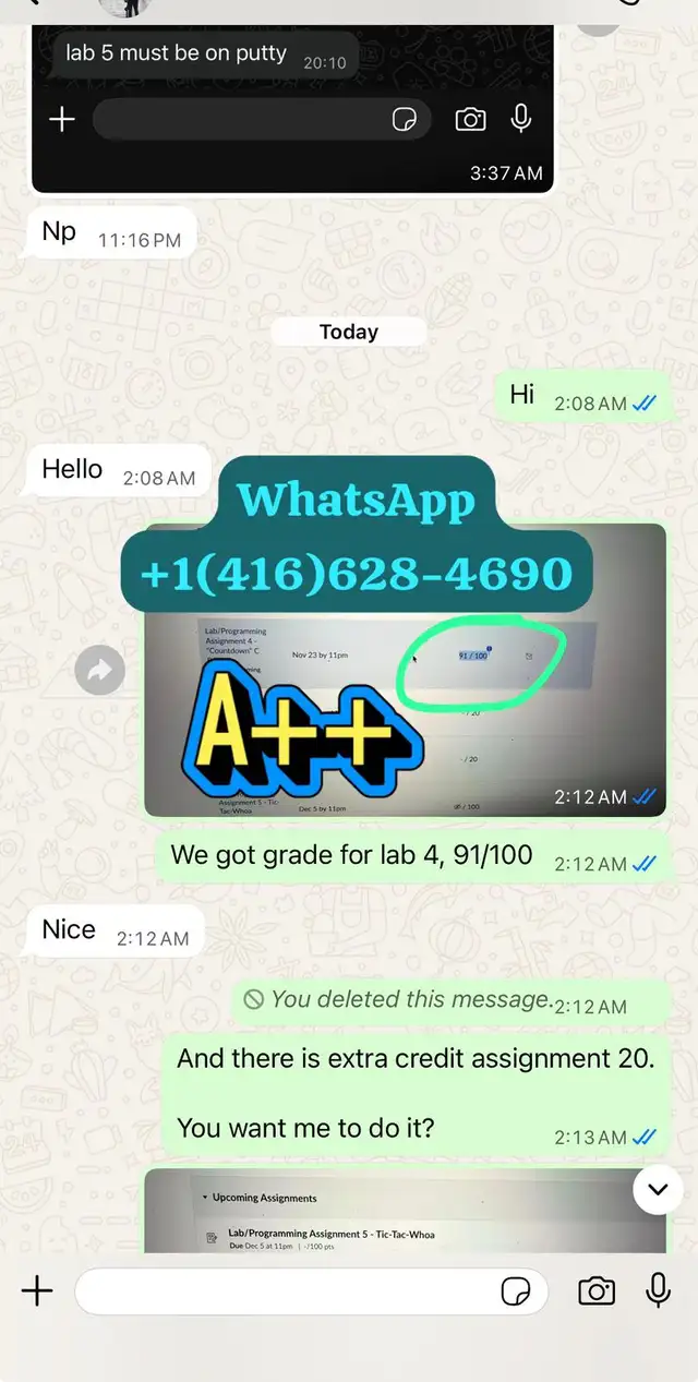 Expert Academic Writers, Essays, Case Studies, Projects, Reports64628753170051121