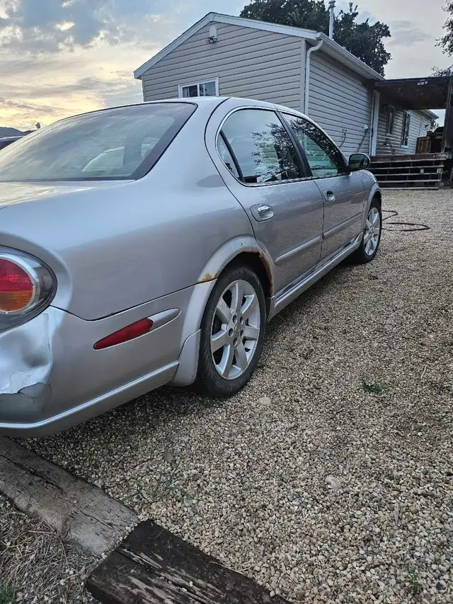 2003 Nissan Maxima 557469098731776003